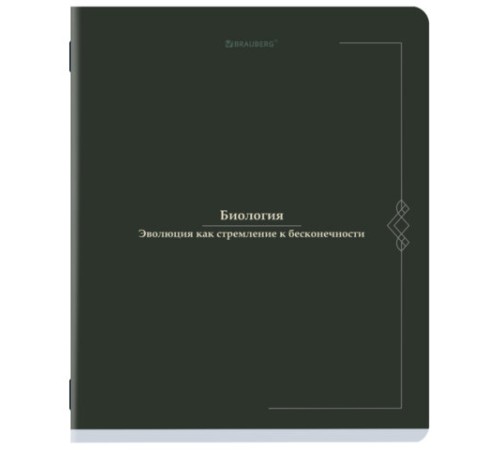 Тетради предметные, КОМПЛЕКТ 12 ПРЕДМЕТОВ, 48 л., SoftTouch, BRAUBERG 