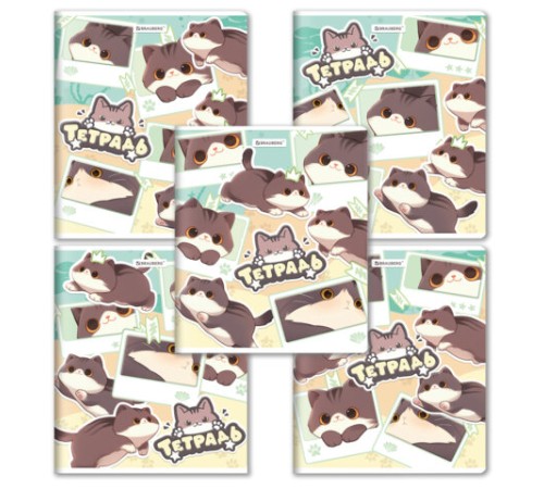 Тетрадь А5 48 л. BRAUBERG скоба, клетка, выборочный лак, кросс-серия МИЛЫЕ КОТЫ, 405193