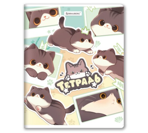 Тетрадь А5 48 л. BRAUBERG скоба, клетка, выборочный лак, кросс-серия МИЛЫЕ КОТЫ, 405193