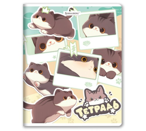 Тетрадь А5 48 л. BRAUBERG скоба, клетка, выборочный лак, кросс-серия МИЛЫЕ КОТЫ, 405193