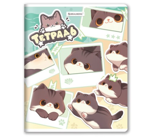 Тетрадь А5 48 л. BRAUBERG скоба, клетка, выборочный лак, кросс-серия МИЛЫЕ КОТЫ, 405193