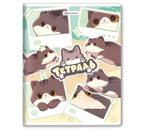 Тетрадь А5 48 л. BRAUBERG скоба, клетка, выборочный лак, кросс-серия МИЛЫЕ КОТЫ, 405193