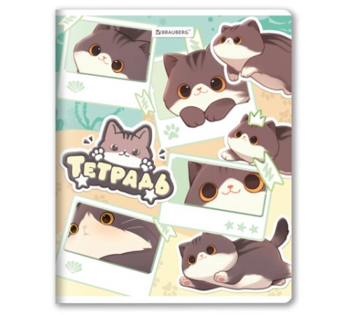 Тетрадь А5 48 л. BRAUBERG скоба, клетка, выборочный лак, кросс-серия МИЛЫЕ КОТЫ, 405193