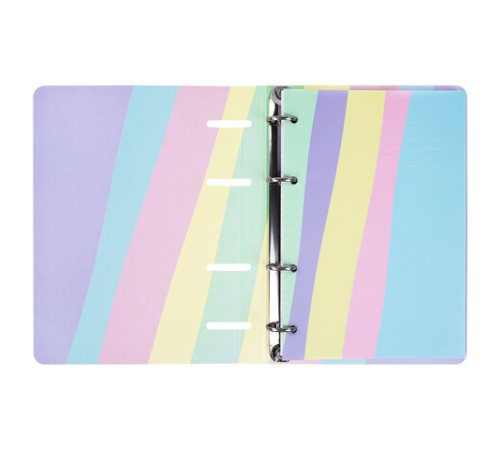 Тетрадь на кольцах А5 160х212 мм, 120 л., картон, матовая ламинация, клетка, BRAUBERG, кросс-серия PASTEL, 405197