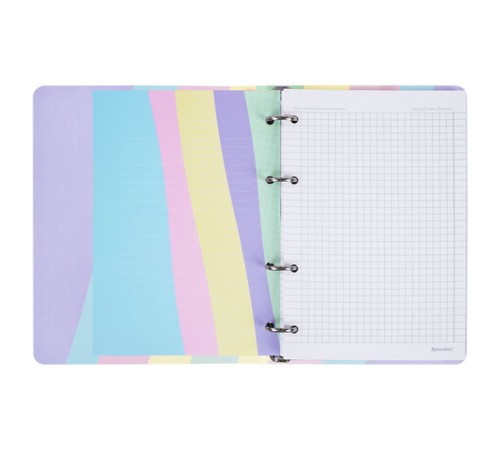 Тетрадь на кольцах А5 160х212 мм, 120 л., картон, матовая ламинация, клетка, BRAUBERG, кросс-серия PASTEL, 405197