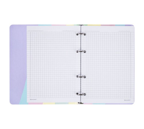 Тетрадь на кольцах А5 160х212 мм, 120 л., картон, матовая ламинация, клетка, BRAUBERG, кросс-серия PASTEL, 405197