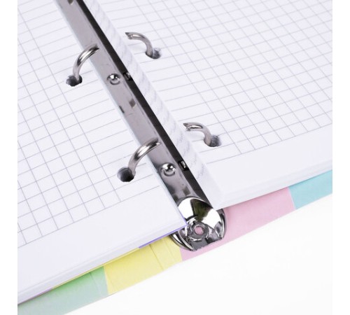 Тетрадь на кольцах А5 160х212 мм, 120 л., картон, матовая ламинация, клетка, BRAUBERG, кросс-серия PASTEL, 405197