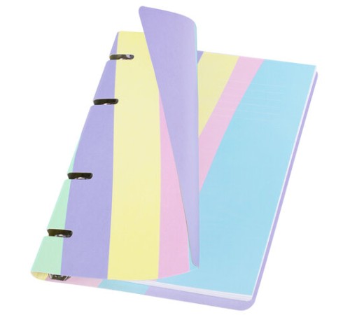 Тетрадь на кольцах А5 160х212 мм, 120 л., картон, матовая ламинация, клетка, BRAUBERG, кросс-серия PASTEL, 405197