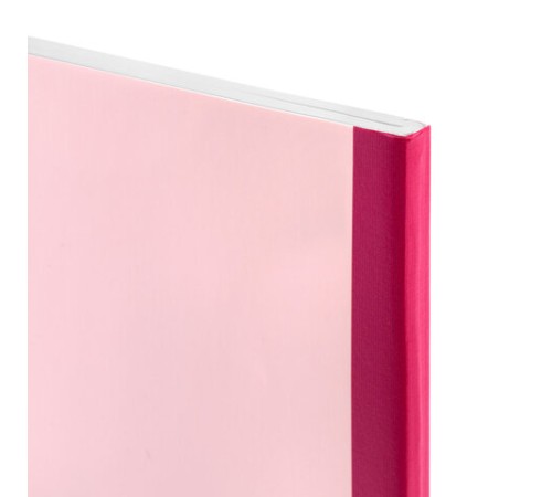 Тетрадь А4 96 л. BRAUBERG, на сшивке с корешком, клетка, обложка картон, 