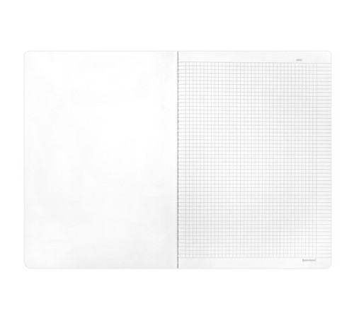 Тетрадь А4 96 л. BRAUBERG, на сшивке с корешком, клетка, обложка картон, 