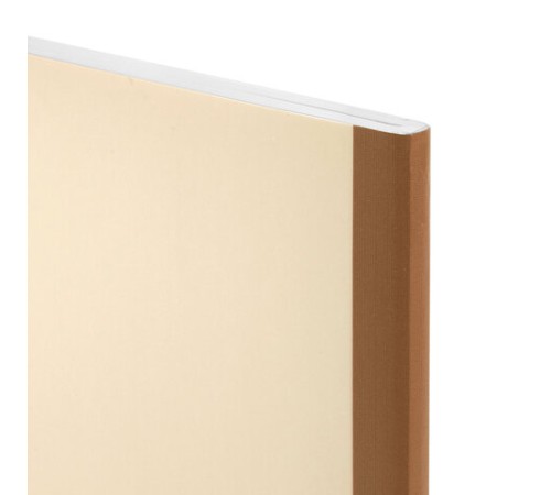 Тетрадь А4 96 л. BRAUBERG, на сшивке с корешком, клетка, обложка картон, 