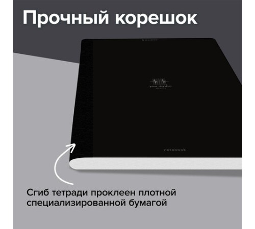 Тетрадь А4 96 л. BRAUBERG, на сшивке с корешком, клетка, обложка картон, 
