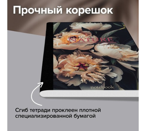 Тетрадь А4 96 л. BRAUBERG, на сшивке с корешком, клетка, обложка картон, 