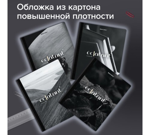 Тетрадь А5 96 л. BRAUBERG, на сшивке с корешком, клетка, обложка картон, 