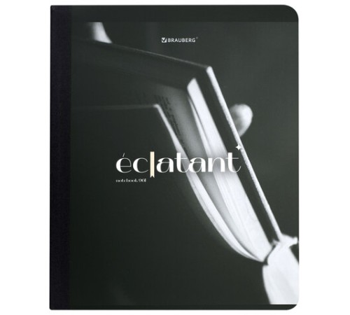 Тетрадь А5 96 л. BRAUBERG, на сшивке с корешком, клетка, обложка картон, 