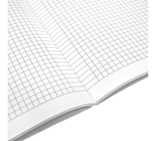 Тетрадь А5 96 л. BRAUBERG, на сшивке с корешком, клетка, обложка картон, 