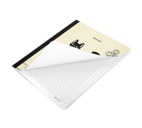 Тетрадь А5 96 л. BRAUBERG, на сшивке с корешком, клетка, обложка картон, 