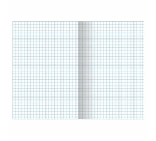 Тетрадь А4, 96 л., BRAUBERG, скоба, клетка, глянцевый лак, 