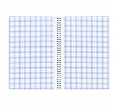 Тетрадь А4, 96 л., BRAUBERG, скоба, клетка, глянцевый лак, 