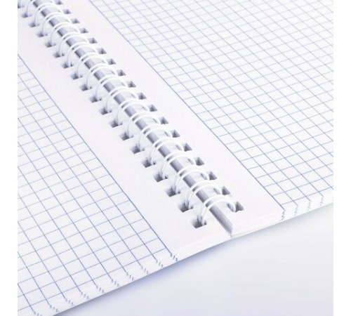 Тетрадь А4, 96 л., BRAUBERG, скоба, клетка, глянцевый лак, 