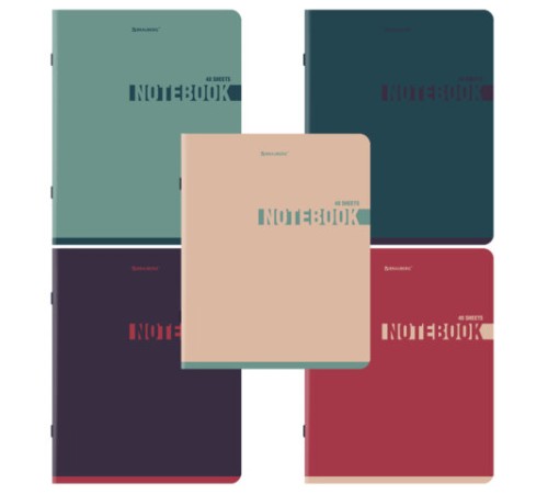 Тетрадь А5, 48 л., BRAUBERG, скоба, клетка, SoftTouch, 