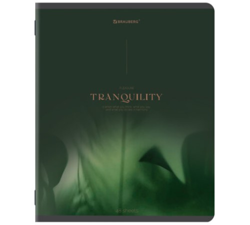 Тетрадь А5, 48 л., BRAUBERG, скоба, клетка, SoftTouch, 