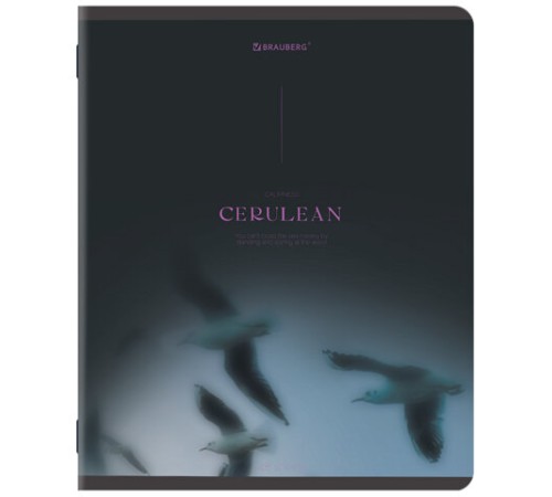 Тетрадь А5, 48 л., BRAUBERG, скоба, клетка, SoftTouch, 