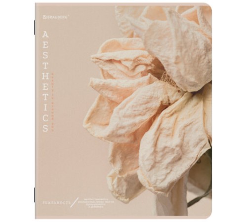 Тетрадь А5, 48 л., BRAUBERG, скоба, клетка, SoftTouch, 