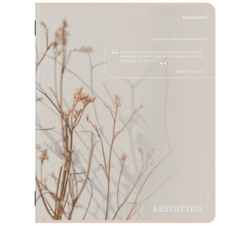 Тетрадь А5, 48 л., BRAUBERG, скоба, клетка, SoftTouch, 