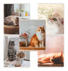 Тетрадь А5, 48 л., BRAUBERG, скоба, клетка, матовая ламинация, 