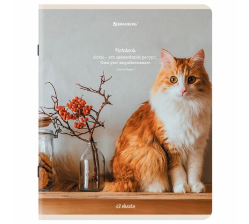 Тетрадь А5, 48 л., BRAUBERG, скоба, клетка, матовая ламинация, 
