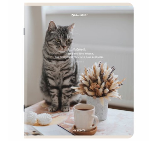 Тетрадь А5, 48 л., BRAUBERG, скоба, клетка, матовая ламинация, 