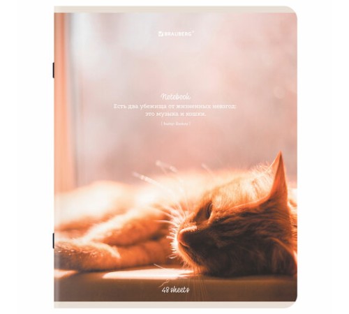 Тетрадь А5, 48 л., BRAUBERG, скоба, клетка, матовая ламинация, 