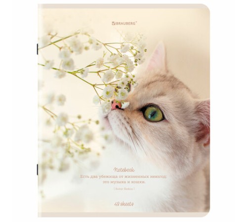 Тетрадь А5, 48 л., BRAUBERG, скоба, клетка, матовая ламинация, 
