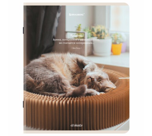 Тетрадь А5, 48 л., BRAUBERG, скоба, клетка, матовая ламинация, 