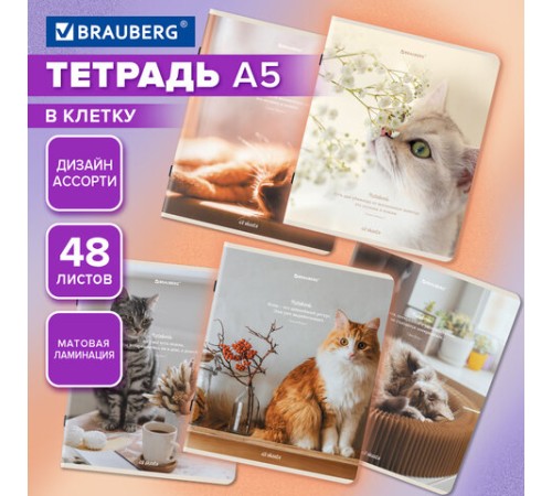 Тетрадь А5, 48 л., BRAUBERG, скоба, клетка, матовая ламинация, 