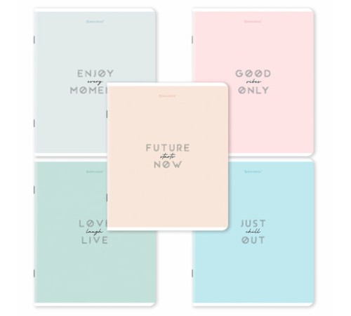 Тетрадь А5, 48 л., BRAUBERG, скоба, клетка, матовая ламинация, 