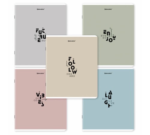 Тетрадь А5, 48 л., BRAUBERG, скоба, клетка, матовая ламинация, 