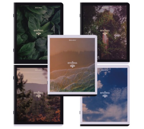 Тетрадь А5, 48 л., BRAUBERG, скоба, клетка, матовая ламинация, 