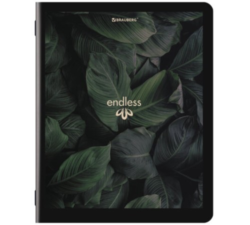 Тетрадь А5, 48 л., BRAUBERG, скоба, клетка, матовая ламинация, 