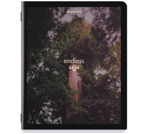 Тетрадь А5, 48 л., BRAUBERG, скоба, клетка, матовая ламинация, 