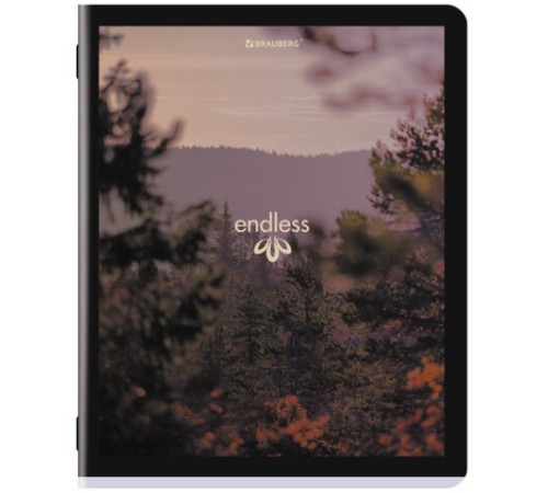 Тетрадь А5, 48 л., BRAUBERG, скоба, клетка, матовая ламинация, 