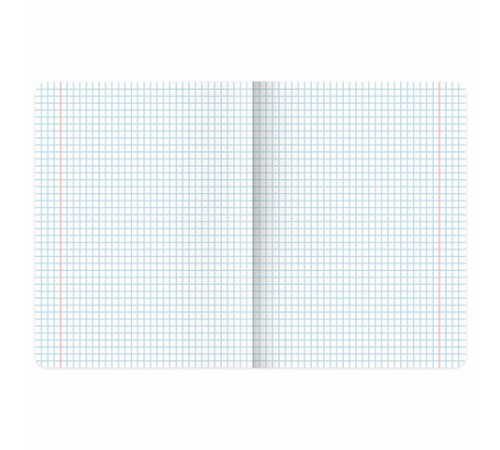 Тетрадь А5, 48 л., BRAUBERG, скоба, клетка, TWIN-лак, 