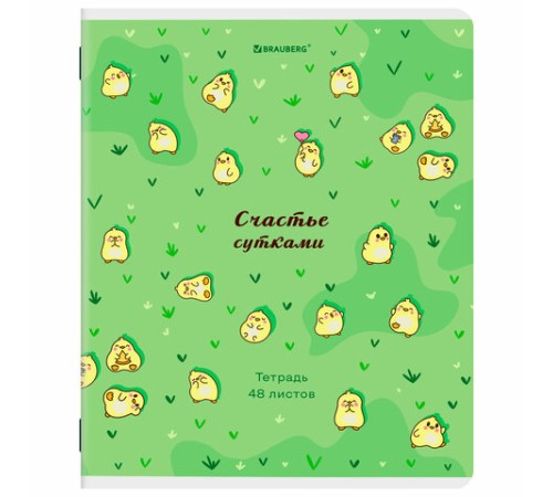 Тетрадь А5, 48 л., BRAUBERG, скоба, клетка, TWIN-лак, 