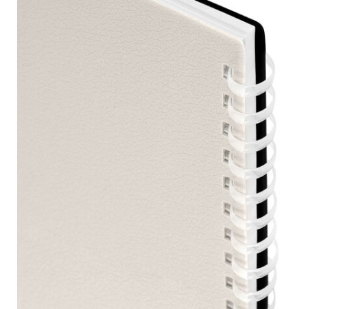 Тетрадь обложка пластик, А4 80 л., гребень мягкий (силиконовый), клетка, BRAUBERG, бежевая, 405354