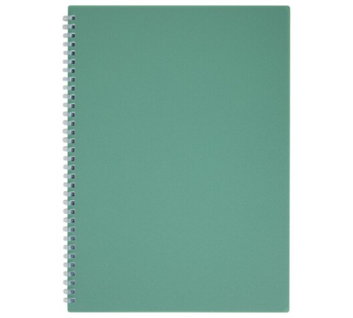 Тетрадь обложка пластик, А4 80 л., гребень мягкий (силиконовый), клетка, BRAUBERG, зеленая, 405355