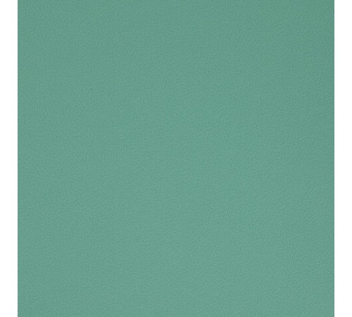 Тетрадь обложка пластик, А4 80 л., гребень мягкий (силиконовый), клетка, BRAUBERG, зеленая, 405355