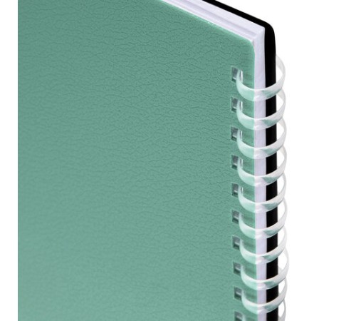 Тетрадь обложка пластик, А4 80 л., гребень мягкий (силиконовый), клетка, BRAUBERG, зеленая, 405355