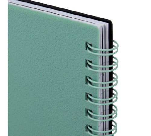Тетрадь обложка пластик, А4 80 л., гребень, 4 разделителя, клетка, BRAUBERG, зеленый, 405363