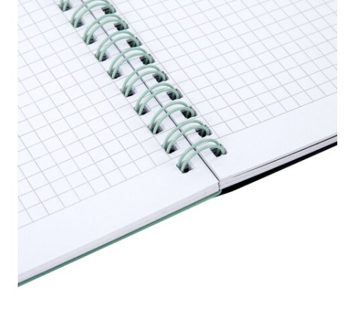 Тетрадь обложка пластик, А4 80 л., гребень, 4 разделителя, клетка, BRAUBERG, зеленый, 405363